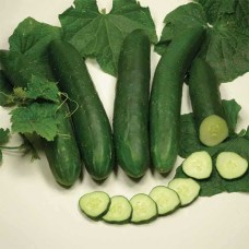 Cucumber Tanja